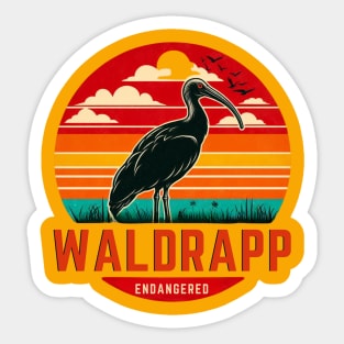 endangered birds waldrapp or northern bald ibis Sticker